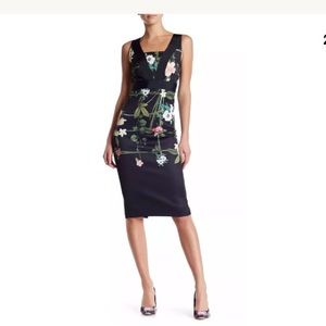 Ted baker kacied secret midi sheath dress sz US 2
